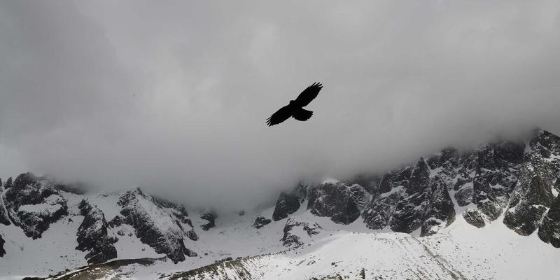 5G信号精准指向背后的隐形守护者：宽温域润滑添加剂如何攻克天线传动系统润滑挑战