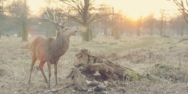 从实验室到市场：揭秘润滑添加剂配方开发的全流程与核心挑战
