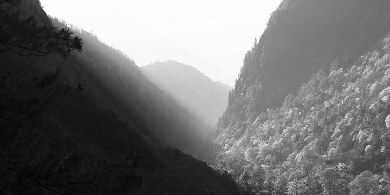 从植物油到微生物工厂：生物基润滑添加剂如何重塑工业润滑的未来