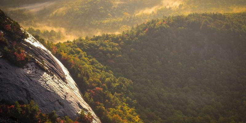 压缩机润滑油的“隐形配方”:专用添加剂如何应对高温高压与冷凝水侵蚀