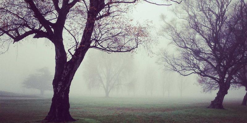 巨轮心脏的守护者：船舶发动机润滑添加剂如何破解高硫燃料与海水腐蚀的双重困局