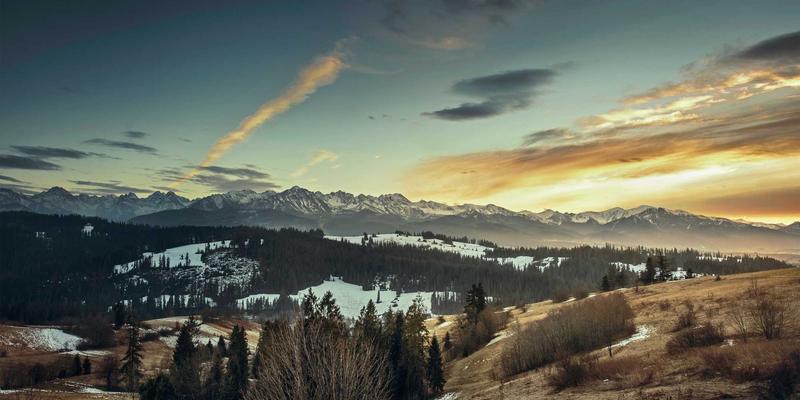 蒸汽迷宫中的守护者:造纸干燥部轴承专用润滑添加剂如何破解高湿高温困局