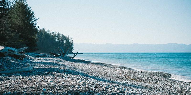 跨界启示录:汽车润滑技术如何重塑医疗器械的“无菌传动法则”?