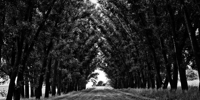 高温下的守护者:深度解析极压剂在烧结设备链条与轴承上的抗结焦性能