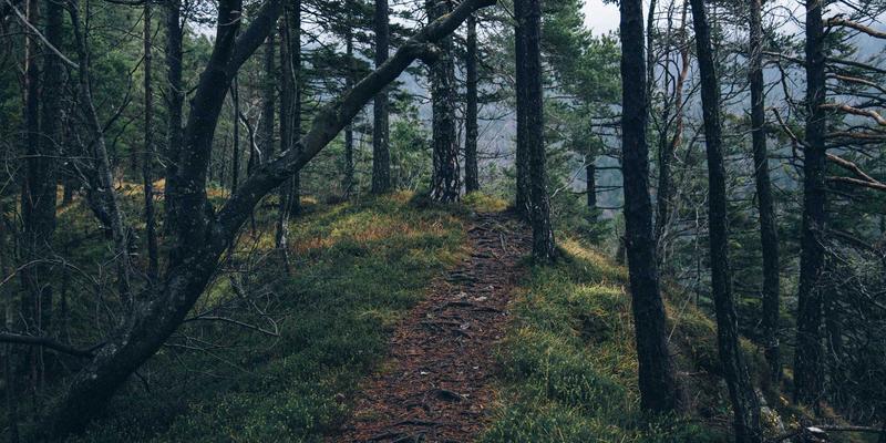 高速轴承润滑的精密平衡术：如何用添加剂同时攻克磨损与功耗难题